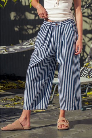 Anette Pleated Culotte Pants