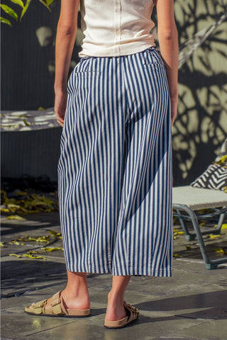 Anette Pleated Culotte Pants