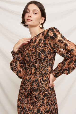 Blanche Lace Mini Dress