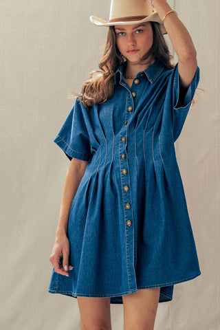 Serena  Denim Shirt Dress